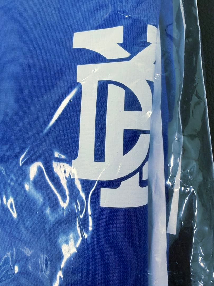 横浜DeNAベイスターズ オーセンティックチームウェア 半袖フーディ Lサイズ