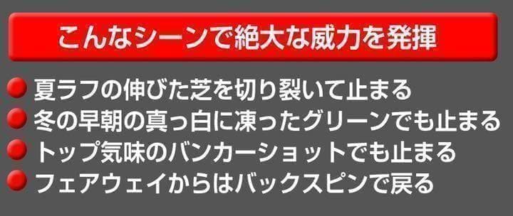 【ヘッド2個単品】★世界最多角溝で超絶スピン! ダイナミクス ハイスピンウェッジ
