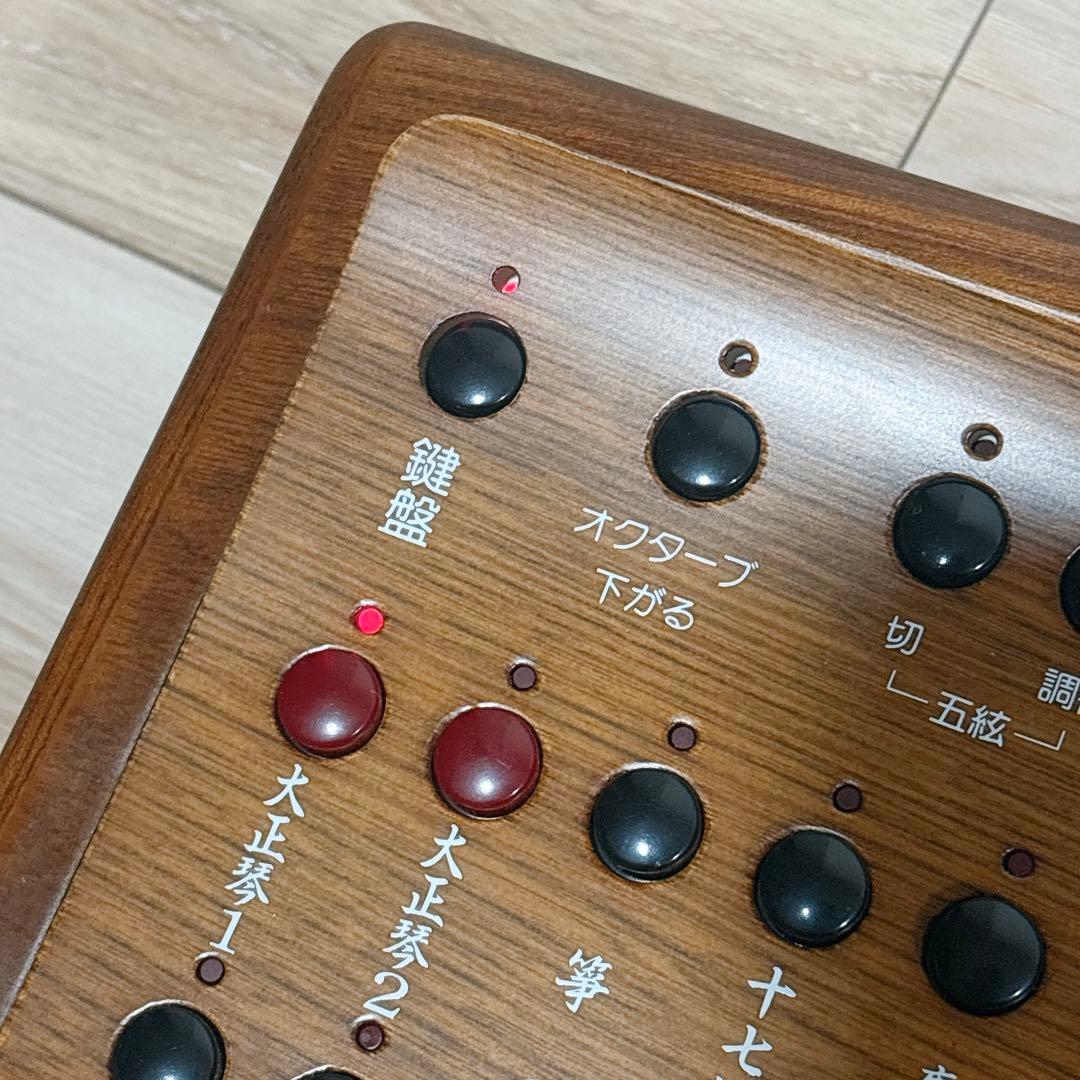 ✨良品✨ SUZUKI TES-100 電気大正琴 ハードケース付き 正常動作品
