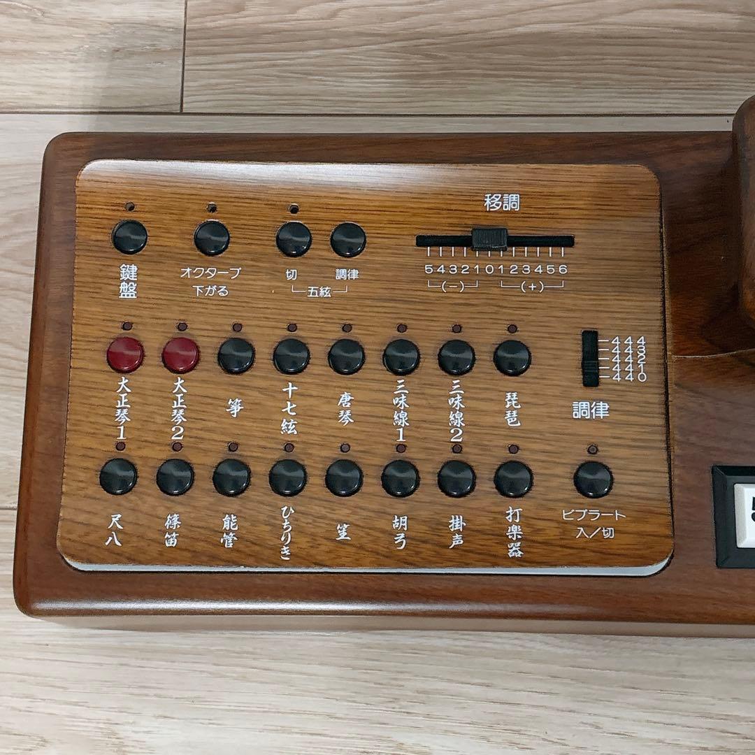 ✨良品✨ SUZUKI TES-100 電気大正琴 ハードケース付き 正常動作品