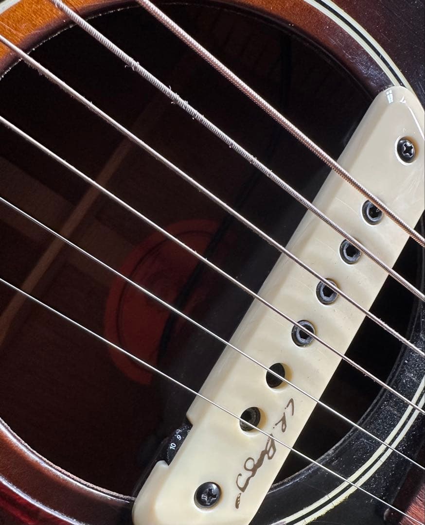 Gibson L-00【BLUES KING】2004 L.RbaggsP.U付