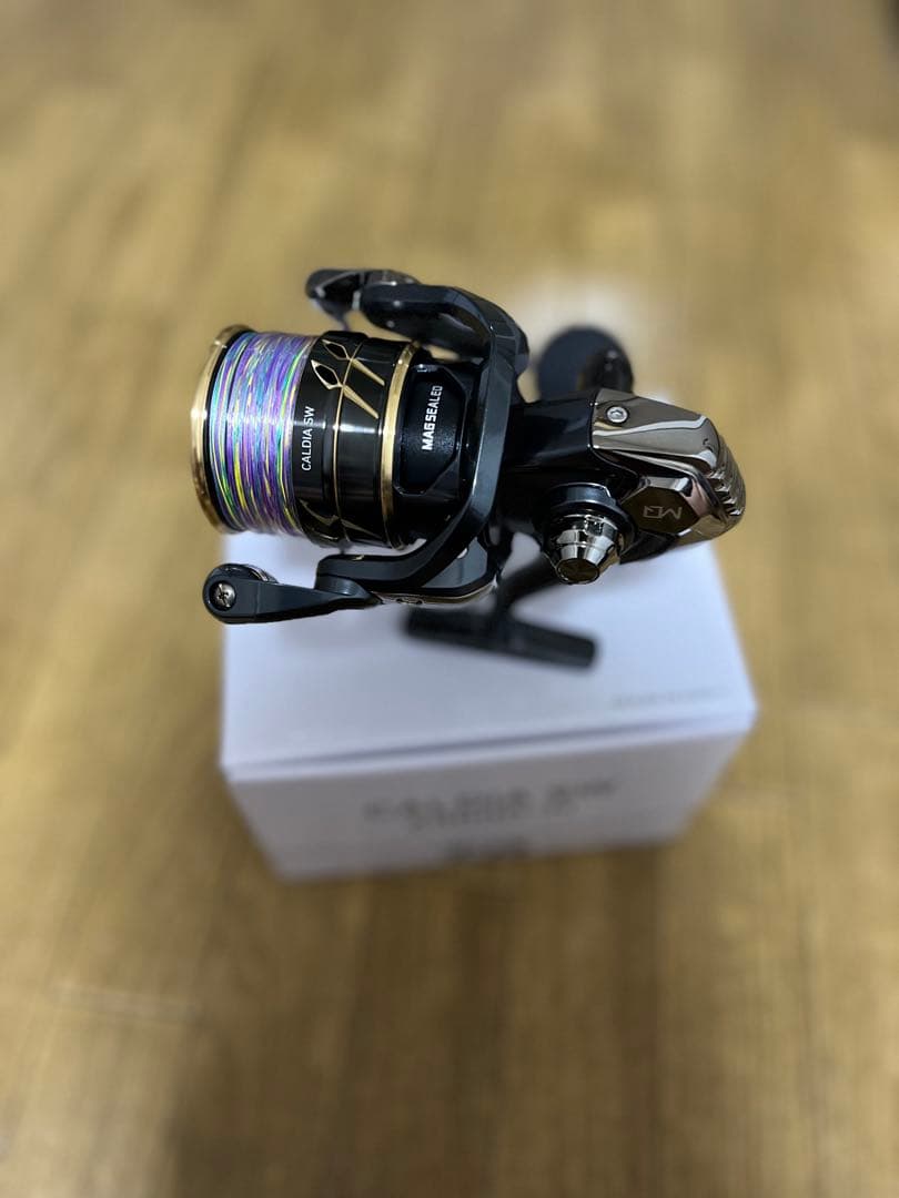 新品　CALDIA SW 6000D-H （PE3号付き）