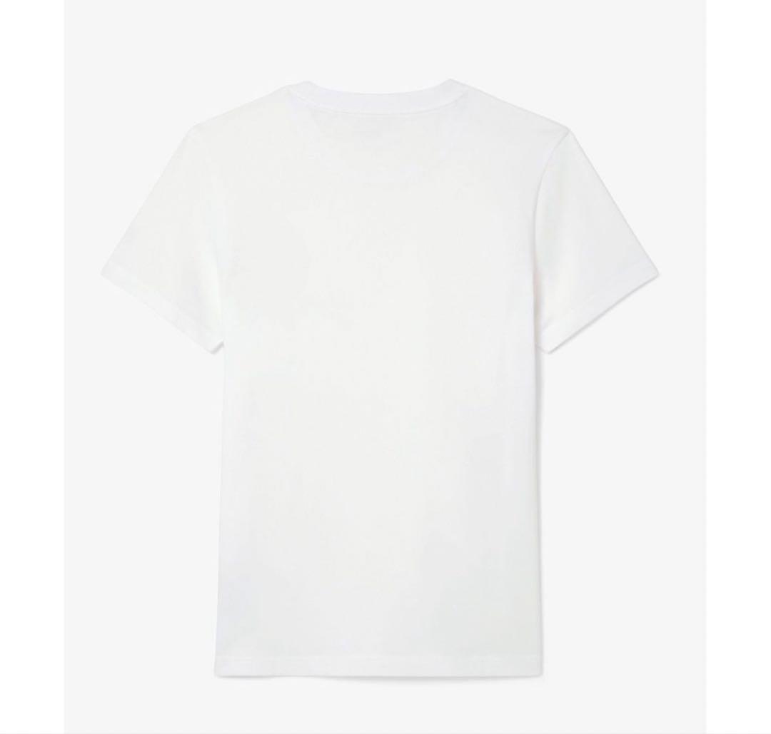 ラコステ テニスウェア ノバク・ジョコビッチ Tシャツとキャップセット L 新品