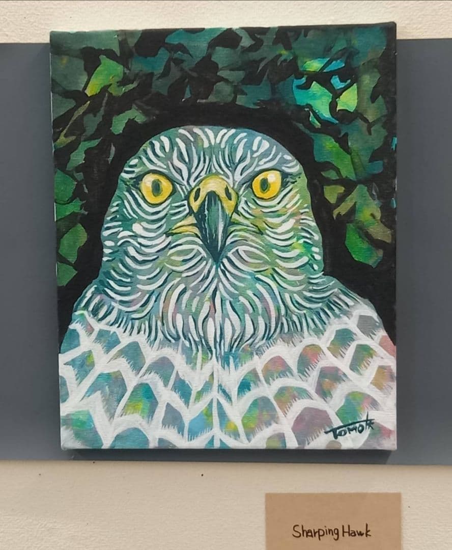 原画【 shaping Hawk 】アクリル水彩/絵画/アート/イラスト/猛禽類