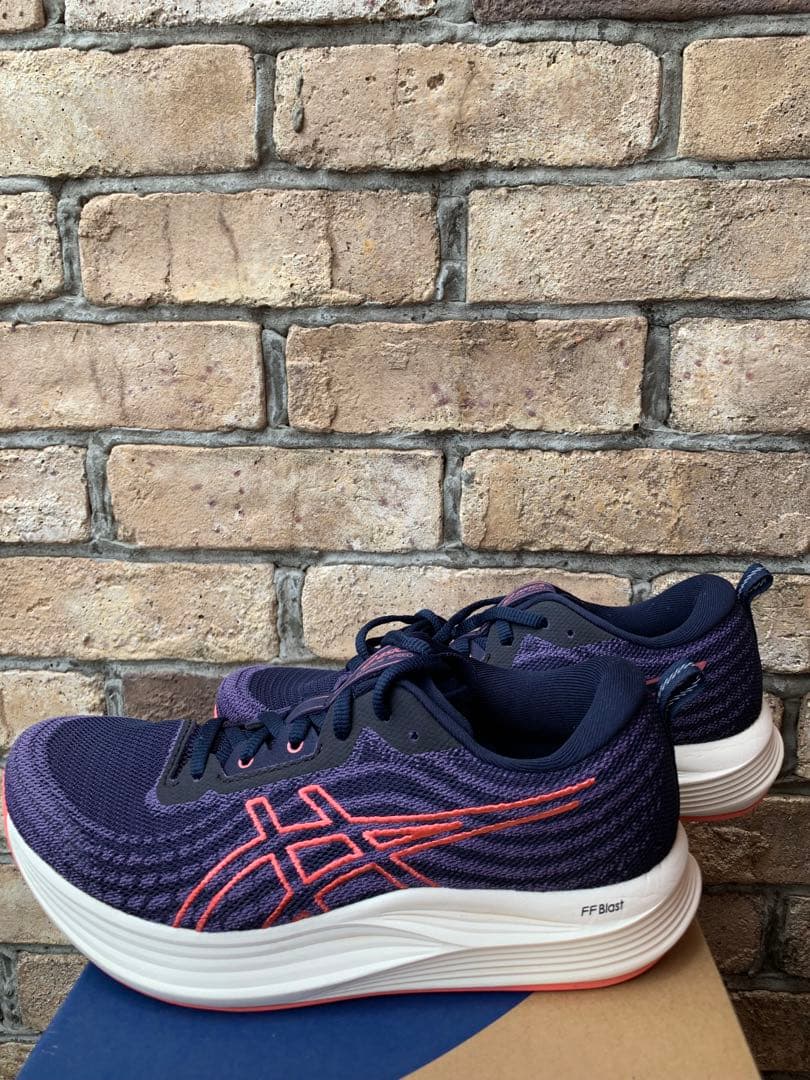 正規品美品！asics EvoRide SPEED 25.0cm ネイビー