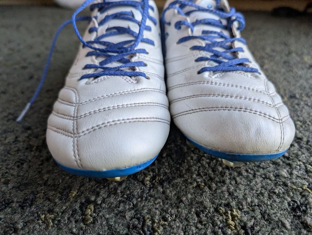 asic DS LIGHT X-FLY PRO 3　サイズ25.5cm