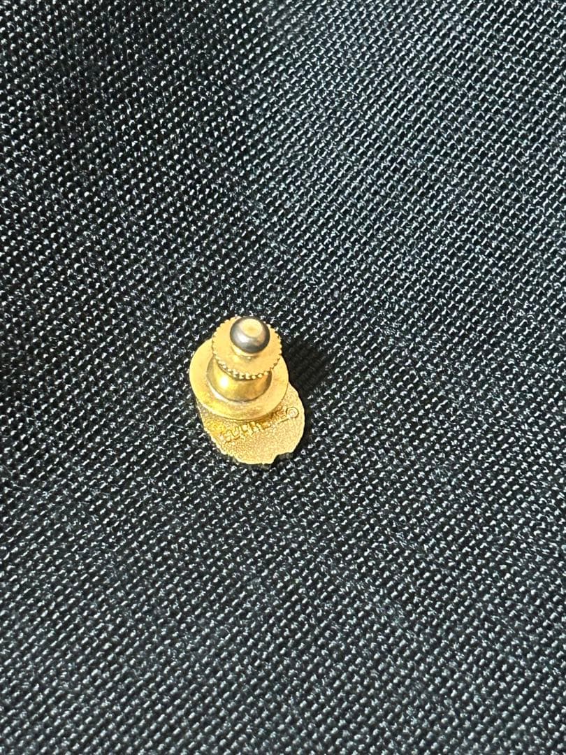 supreme Ladybug Pin ピンバッジ　キムタク使用　木村拓哉