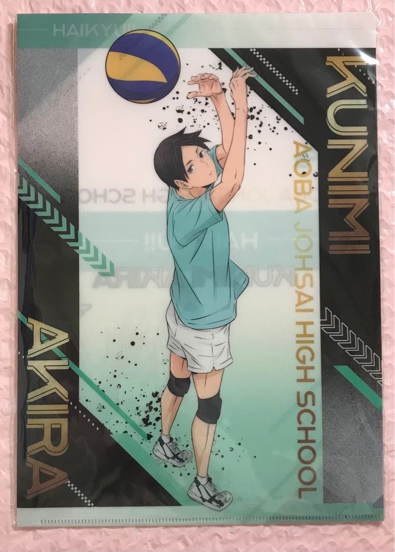 ハイキュー!! ユース合宿セット