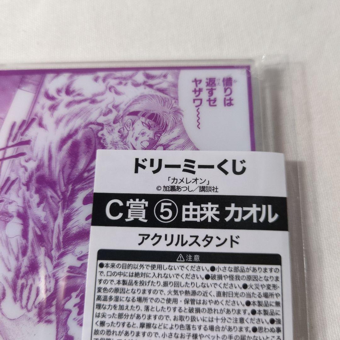 ドリーミーくじ カメレオン アクリルスタンド グラス 10点セット