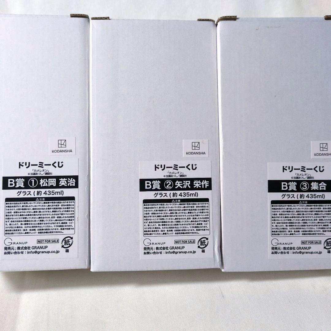 ドリーミーくじ カメレオン アクリルスタンド グラス 10点セット