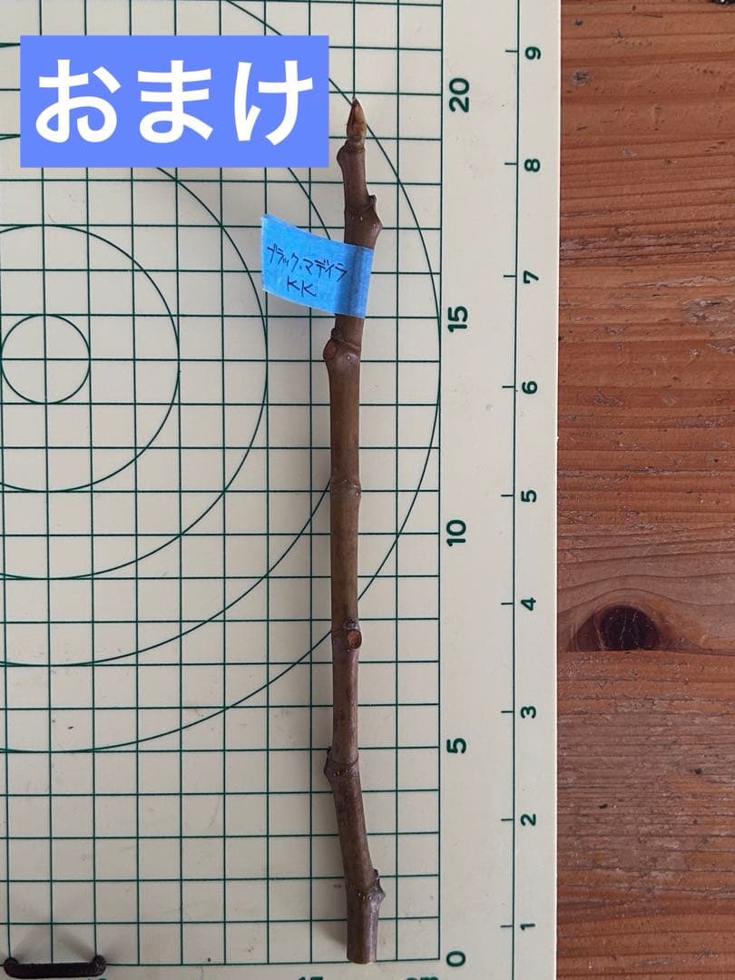 タカ様　ご確認用のお品です。