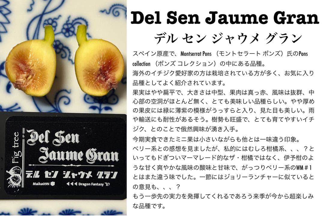 タカ様　ご確認用のお品です。