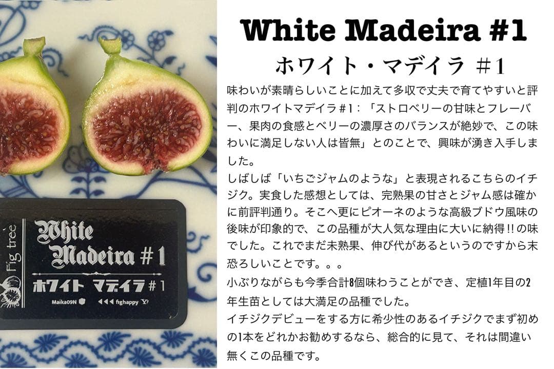 タカ様　ご確認用のお品です。