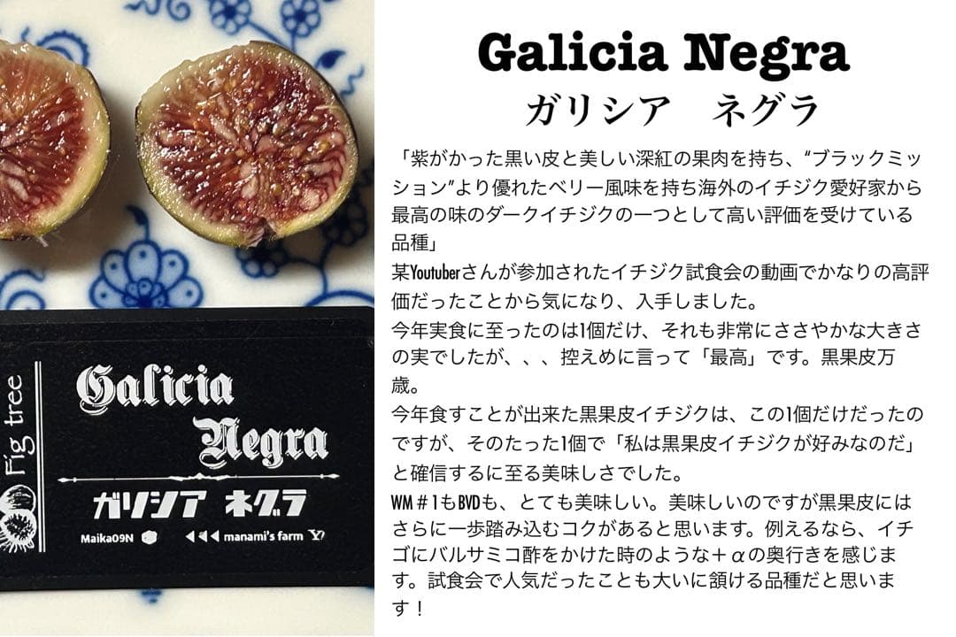 タカ様　ご確認用のお品です。