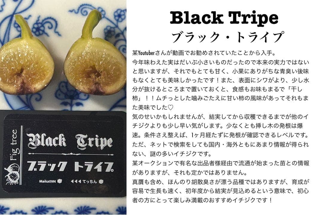 タカ様　ご確認用のお品です。