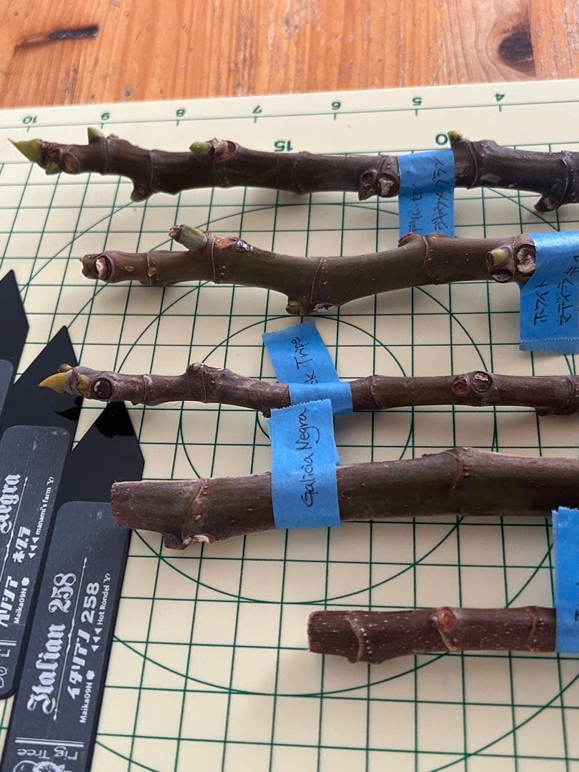 タカ様　ご確認用のお品です。