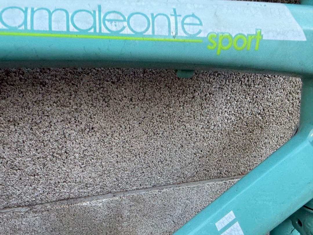 Bianchi camaleonte sport フレームセット