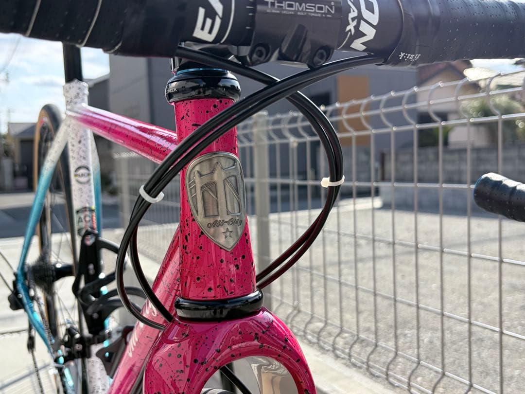【引き渡し希望】All-City NATURE CROSS 49 オールシティ