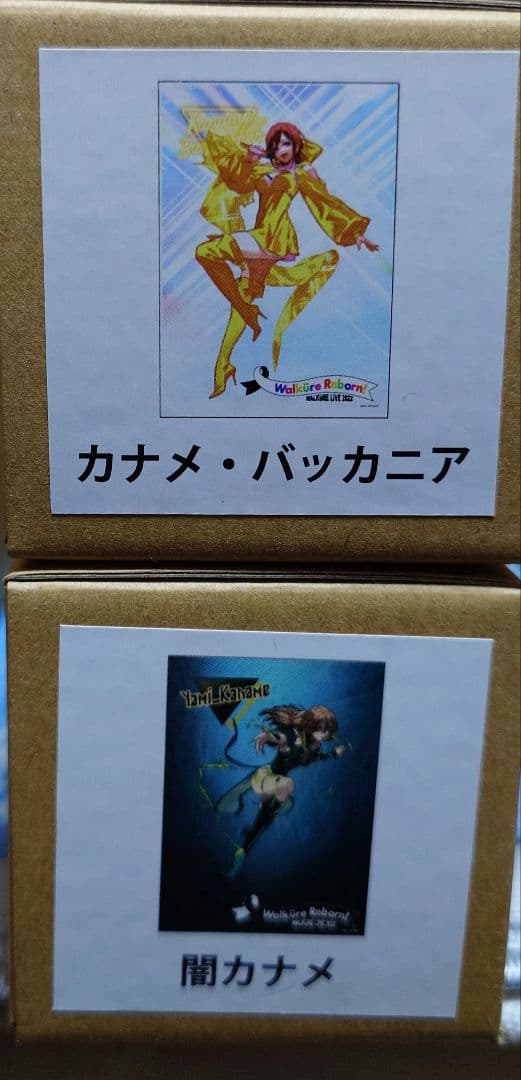 マクロスΔ　クリアポスター10本セット(ワルキューレ・闇キューレ)