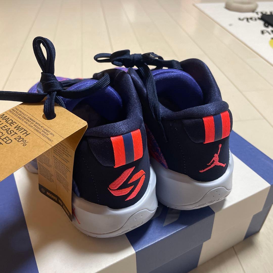 Jordan バスケットボールシューズ 紫/赤