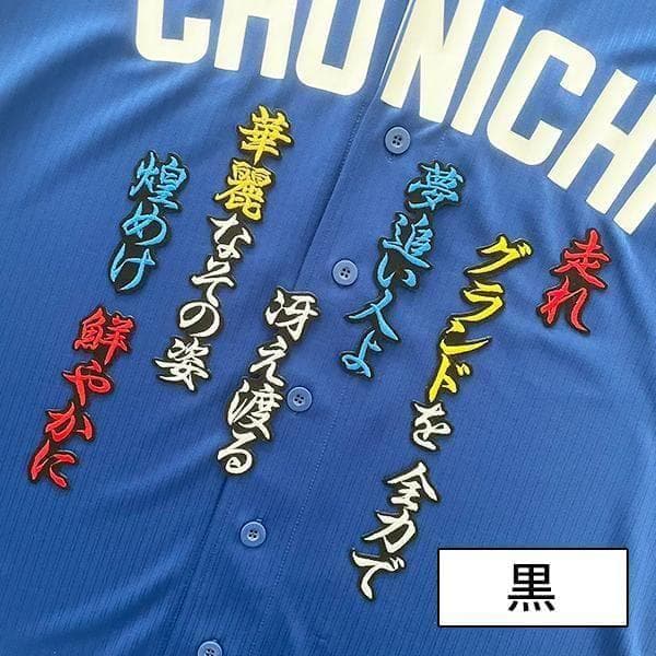 ★中日 ドラゴンズ　田中幹也 刺繍ワッペン サイン付シルエット1【計３点】