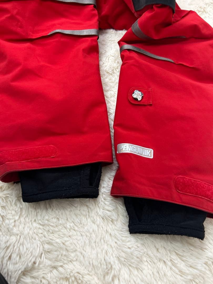 【専用】PHENIX フェニックス スキーウェア セット　ノルウェー　M