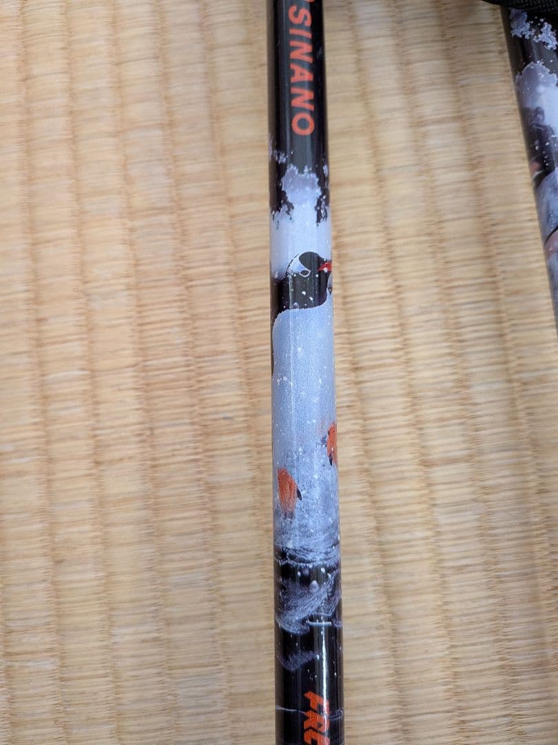 シナノスキーポール