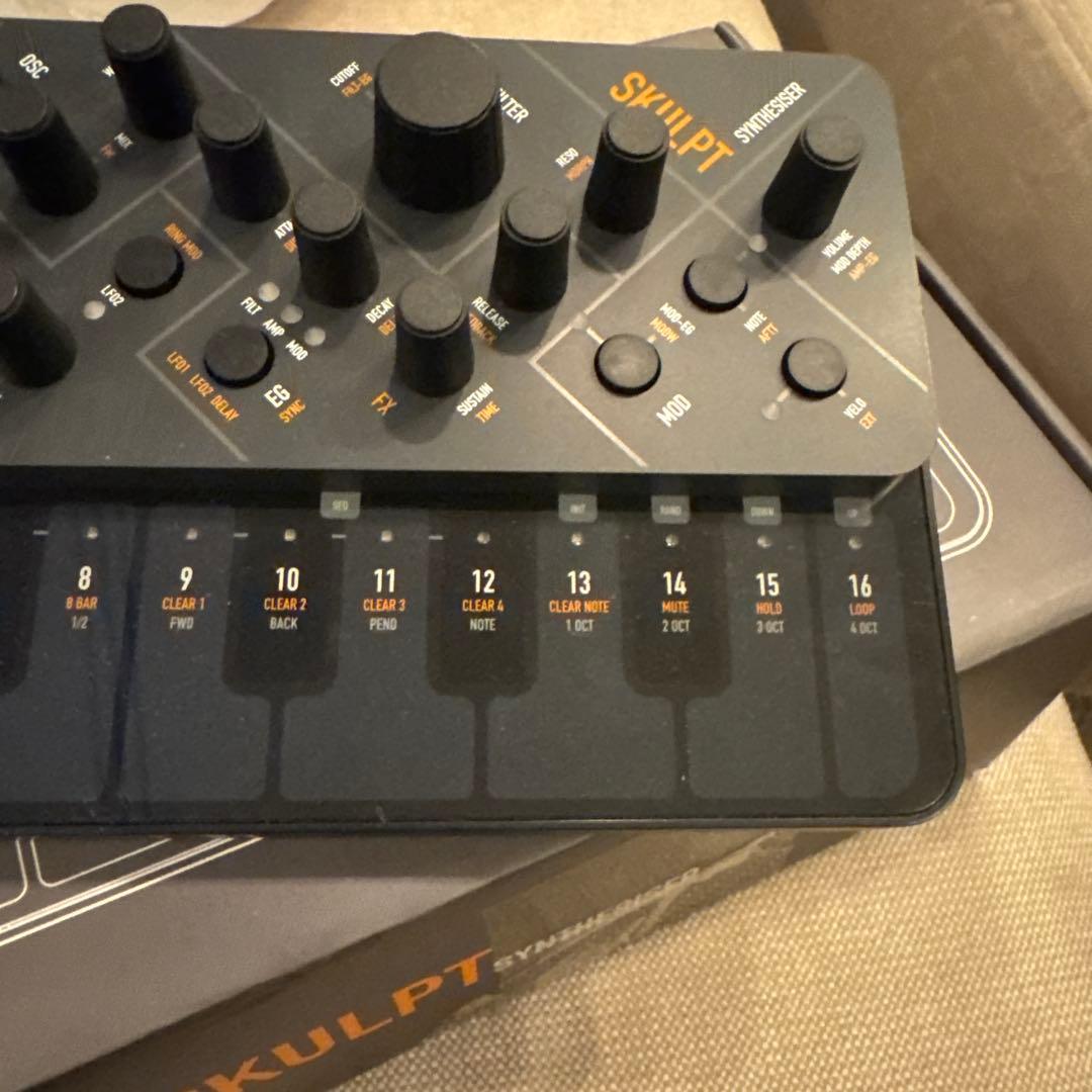 modal electronics SKULPT 動作確認済