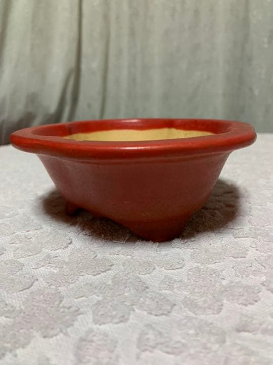 盆栽鉢　昭山