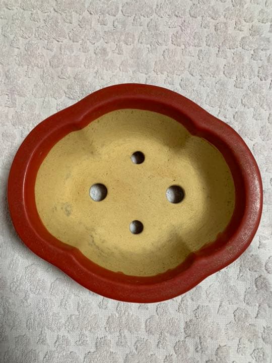 盆栽鉢　昭山