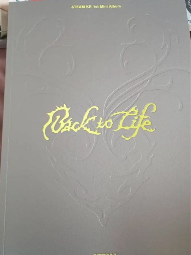&TEAM DICON PHOTOBOOKとback to life写真集2種