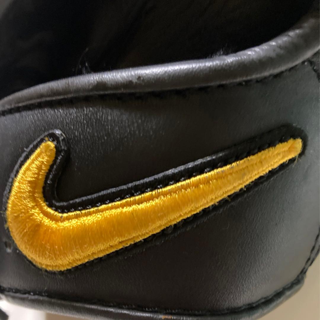 NIKE ナイキ 一般 大人用 軟式 野球 グローブ グラブ 人気