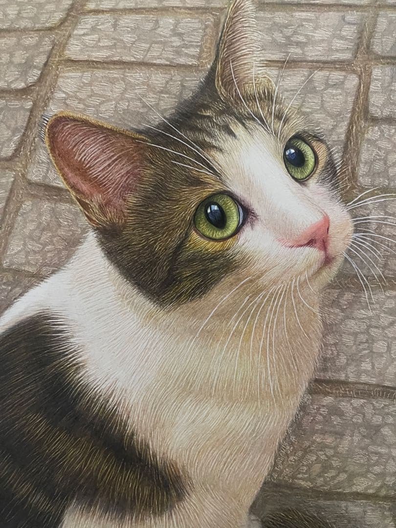 色鉛筆画A4.キジシロ42