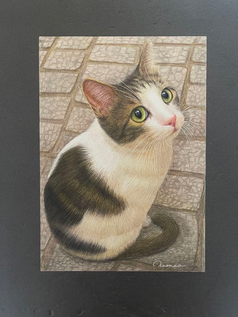 色鉛筆画A4.キジシロ42