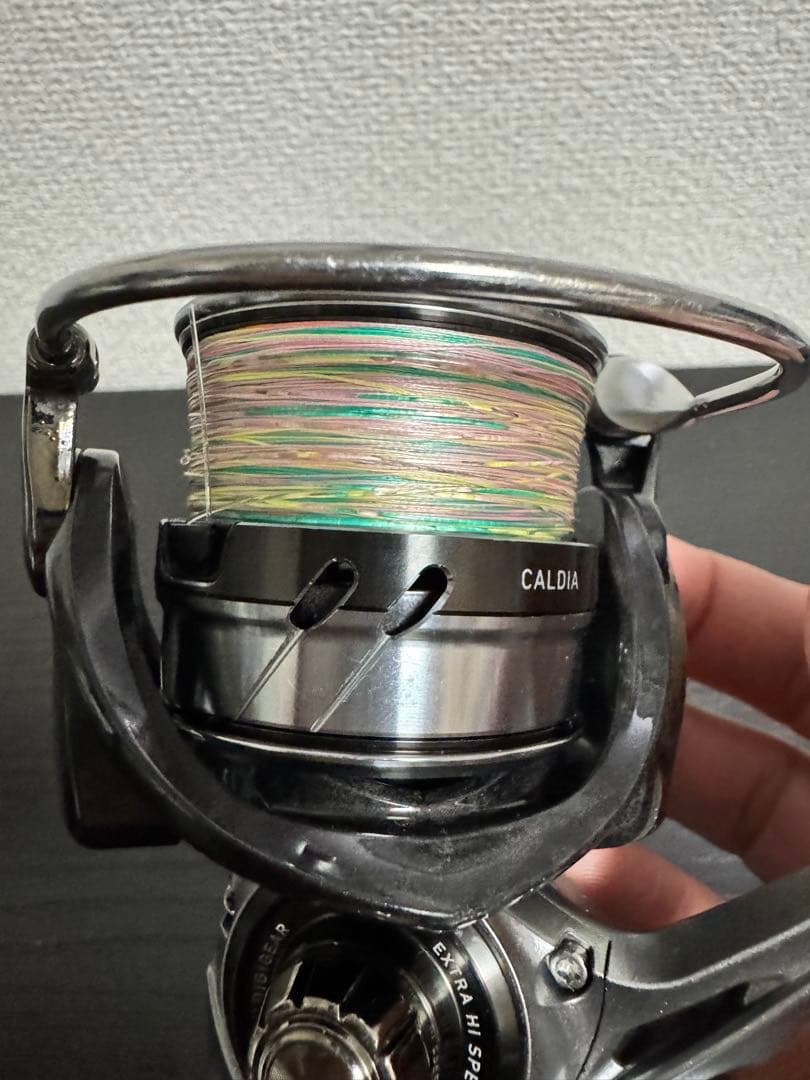 ダイワ(DAIWA) 18カルディア LT4000-CXH