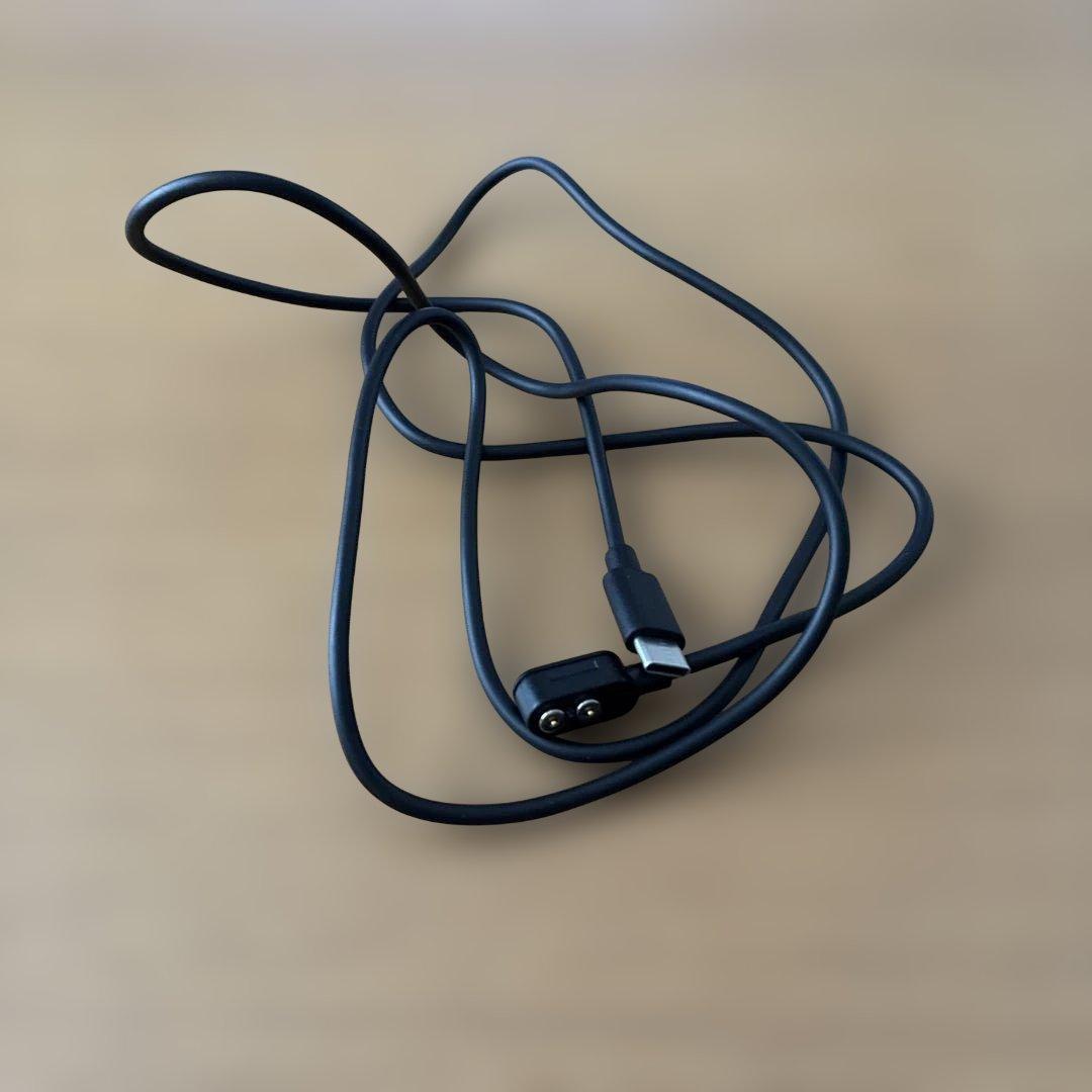 LEDLENSER NEO1R 青色 ヘッドランプとサングラスのセット