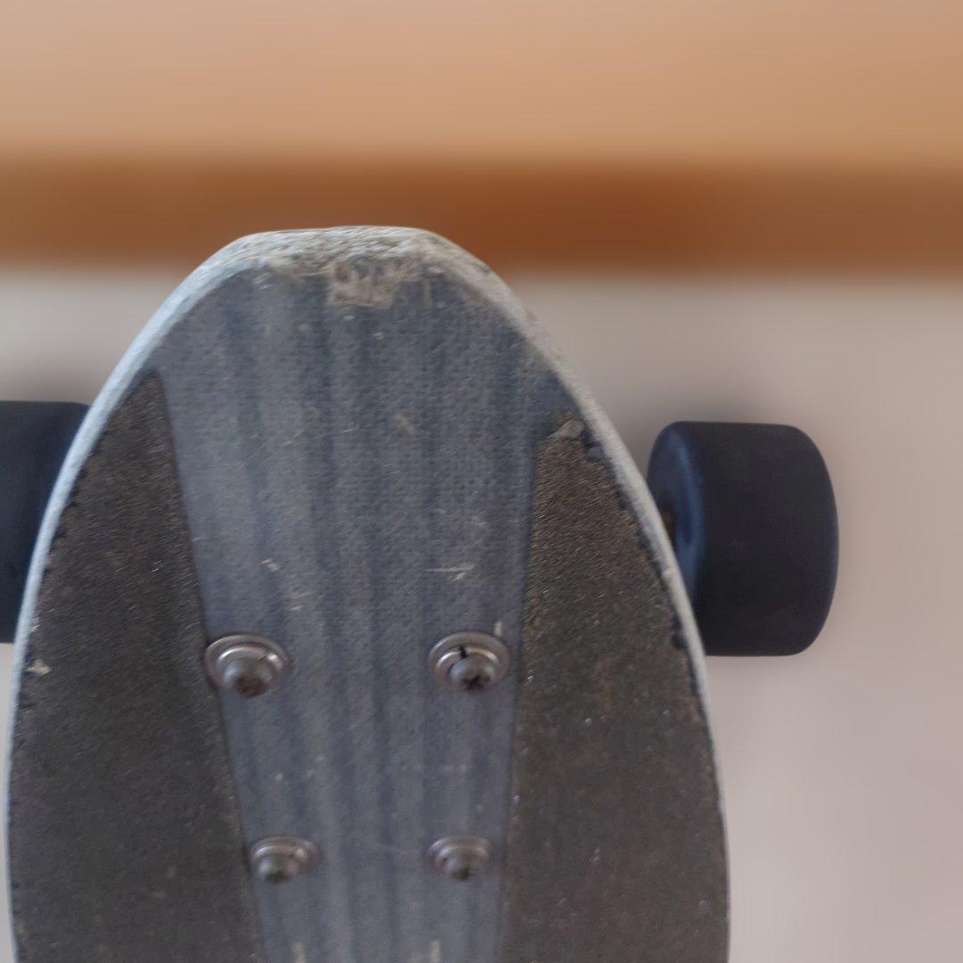 flexdex　フレックスデックス ロングスケートボード