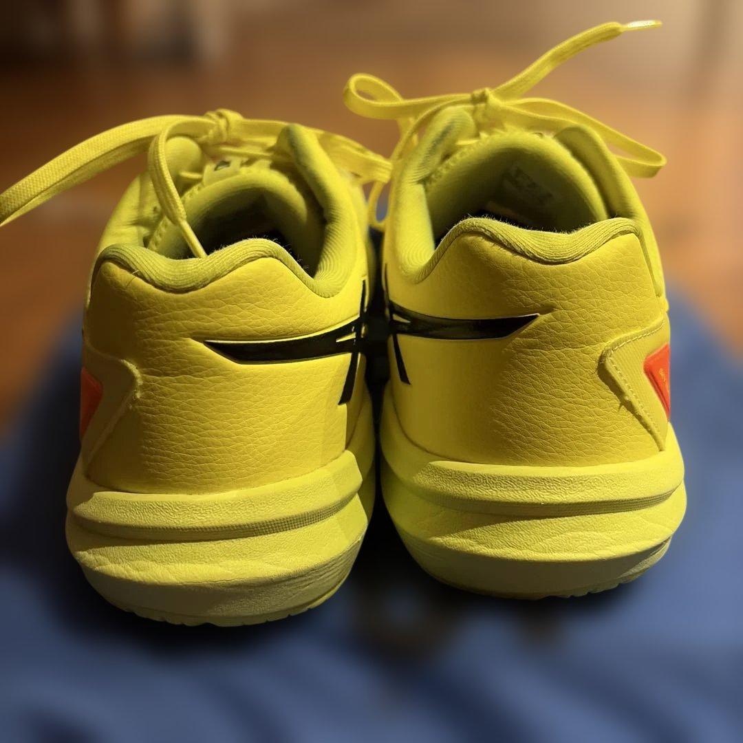 シューズ asics skyelite ff3 paris 28cm US10