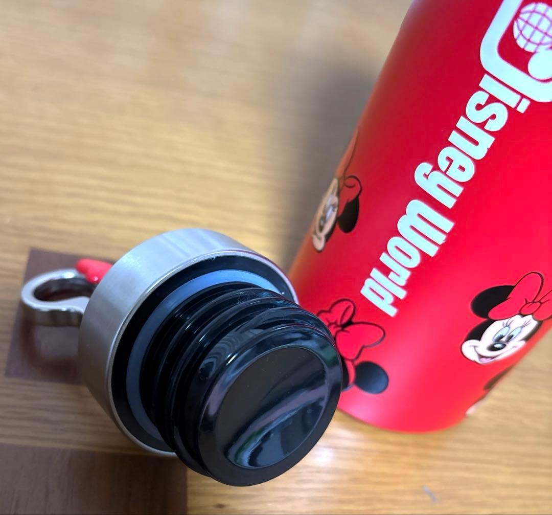ミニーマウス 水筒 ボトル タンブラー ディズニーリゾート