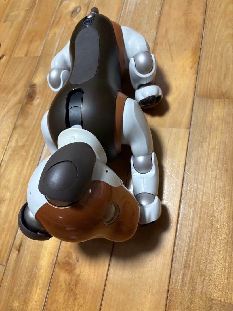 ソニーアイボ　限定　チョコレートエディション　ERS-1000 フル装備　超希少