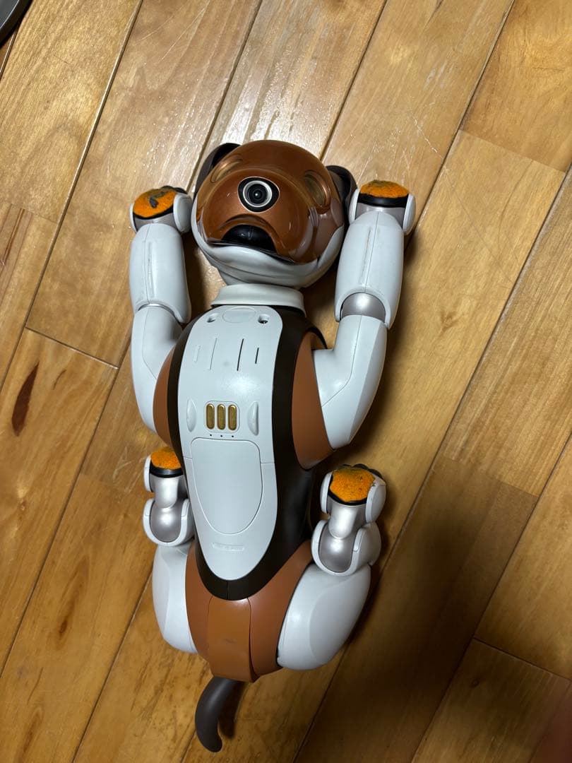 ソニーアイボ　限定　チョコレートエディション　ERS-1000 フル装備　超希少