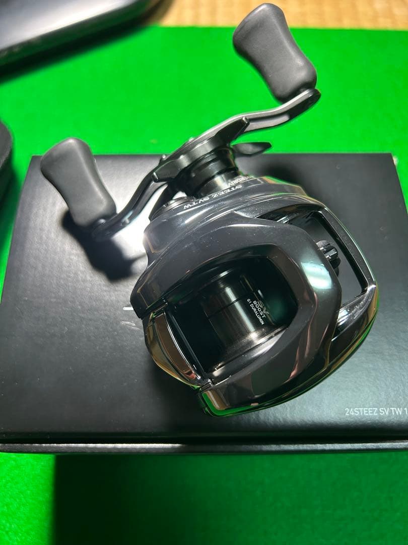 ダイワ 24スティーズ SV TW 100L