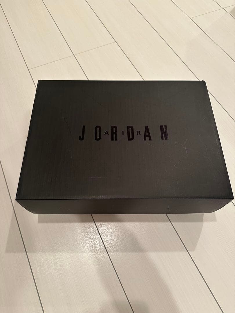 (新品未使用)NIKE AIR JORDAN 6 RETROスラムダンク29cm