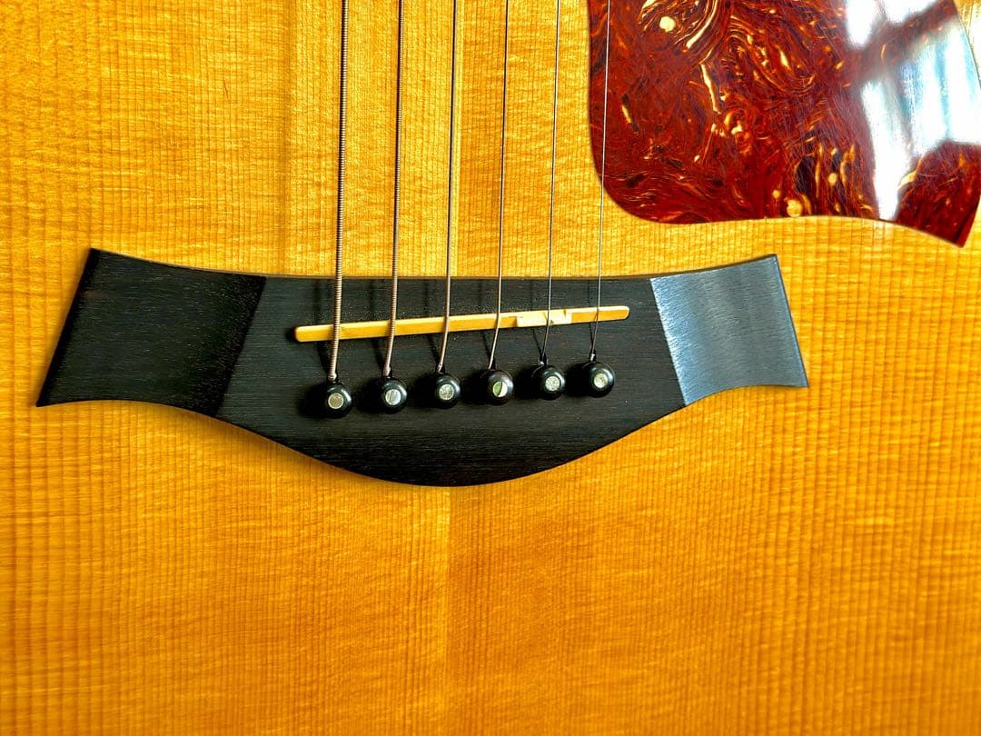 Taylor 710ce アコースティックギター