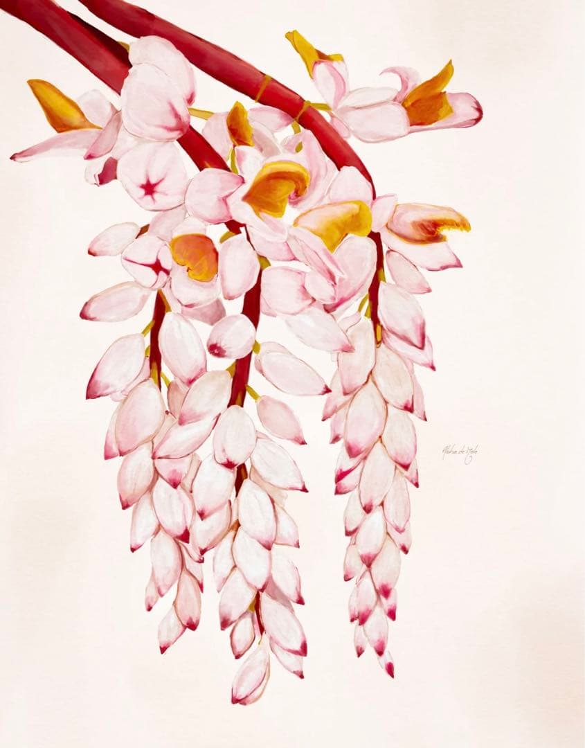 アロハデメレALOHA DE MELE『SHELL GOLD』ハワイ絵画アート