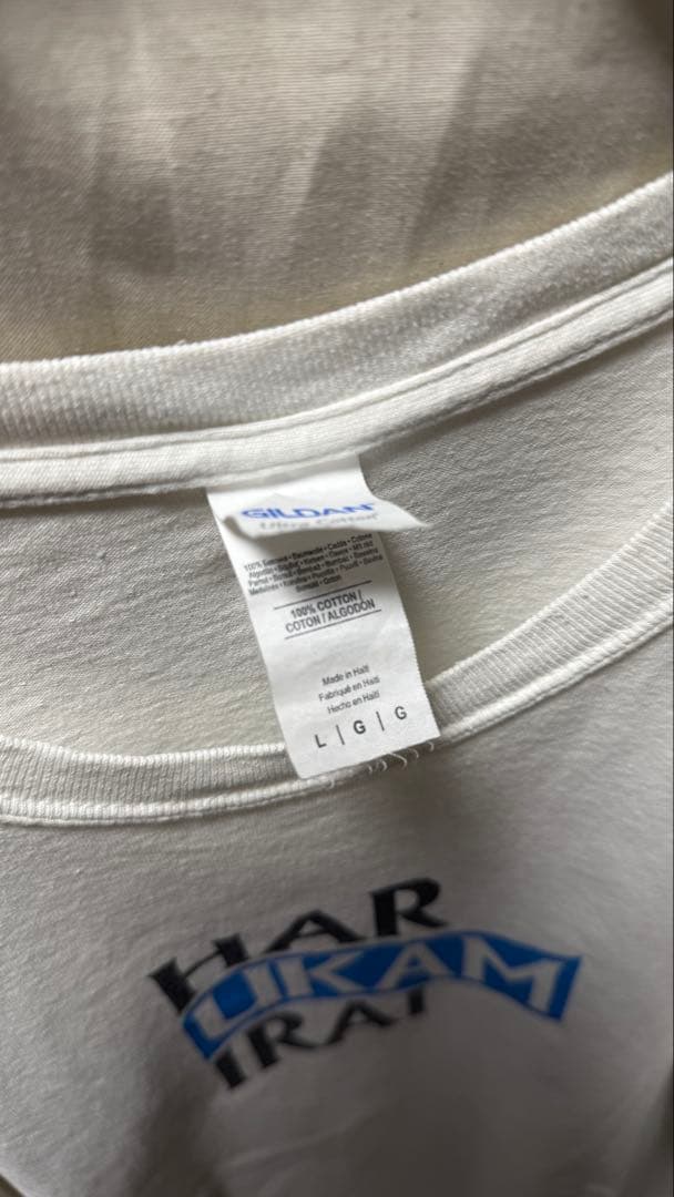 ハルカミライ　Tシャツ　ブルーハーツオマージュ　Lサイズ