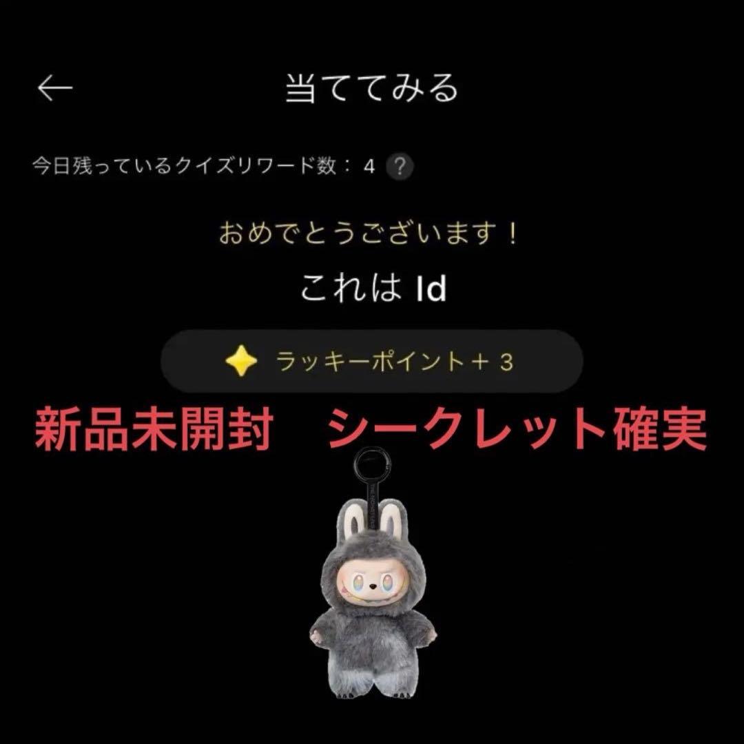 【正規品 新品未開封】エナジー ラブブ シークレット ID 24時間以内発送