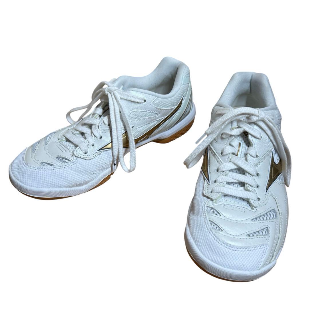 MIZUNO ミズノ バドミントンシューズ ウェーブファングPRO 25.5㎝
