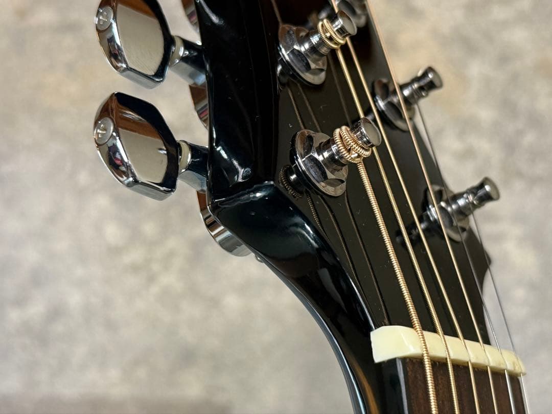 【希少】KISS ポール・スタンレー Silvertone PS D1 BK