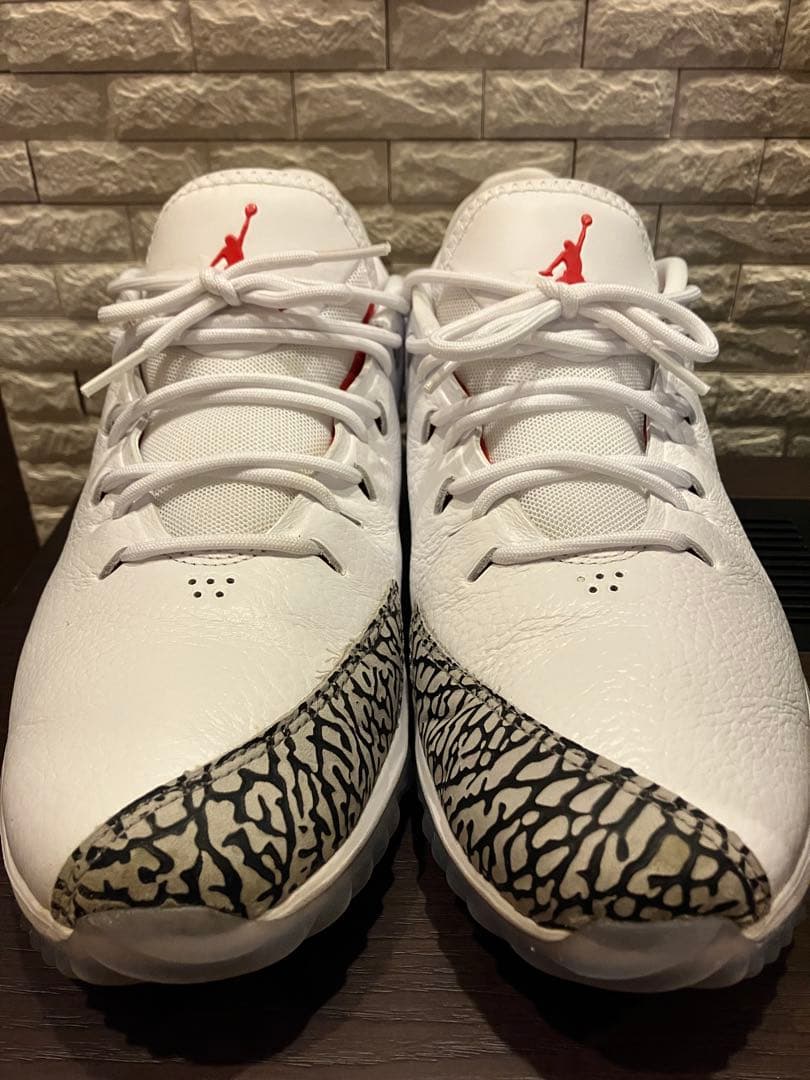 シューズ(男性用) NIKE JORDAN ADG AR7995 100